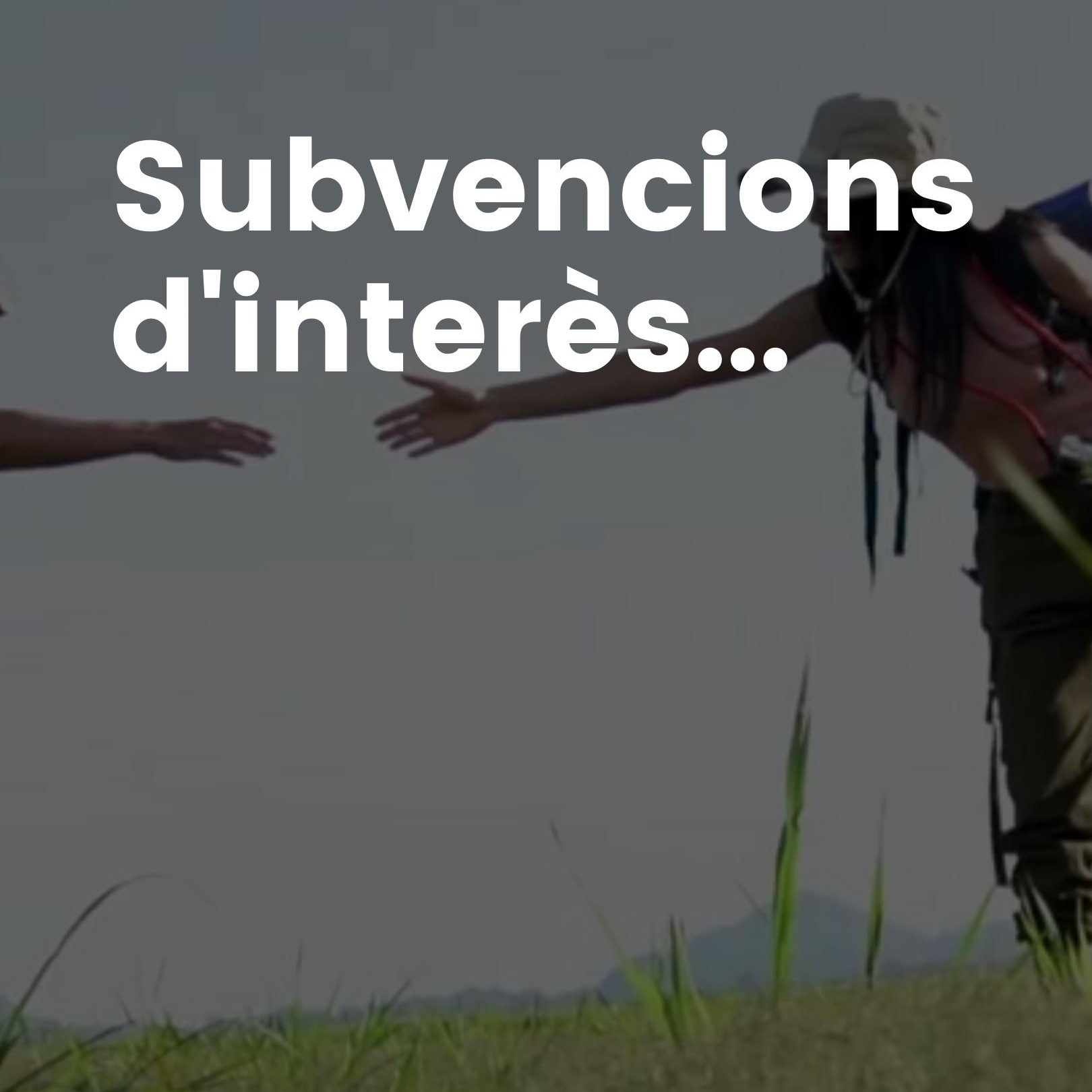 Subvencions i ajuts