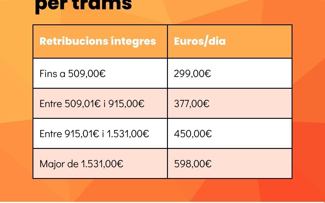 Bases mínimes d’artistes per trams
