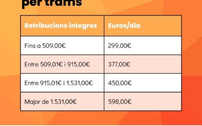 Bases mínimes d’artistes per trams